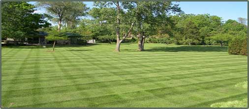Personalized Lawn can take care of all of your Property Maintenance